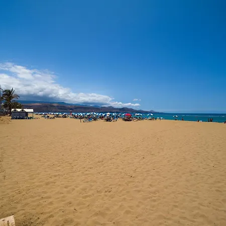 Retama Canteras By Canariasgetaway Las Palmas / Gran Canaria