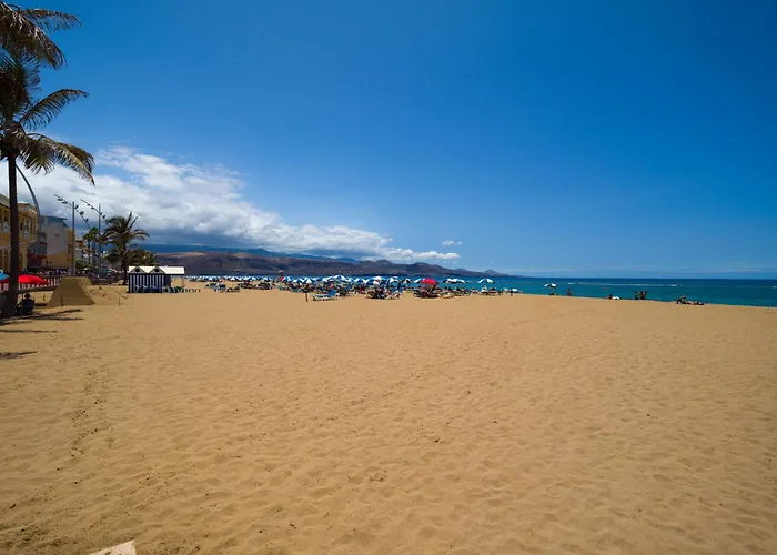 Retama Canteras By Canariasgetaway Las Palmas de Gran Canaria